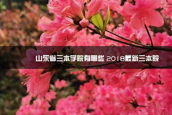 山东省三本学院有哪些 2018最新三本院校名单