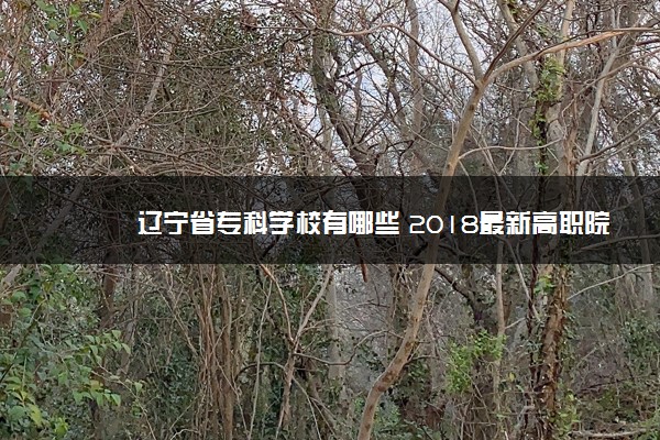 辽宁省专科学校有哪些 2018最新高职院校名单