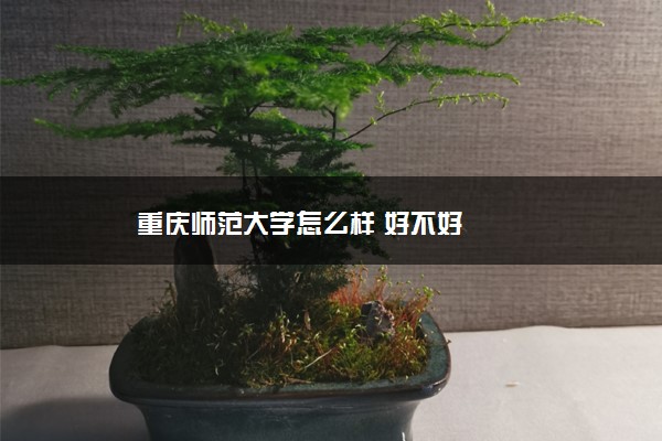 重庆师范大学怎么样 好不好