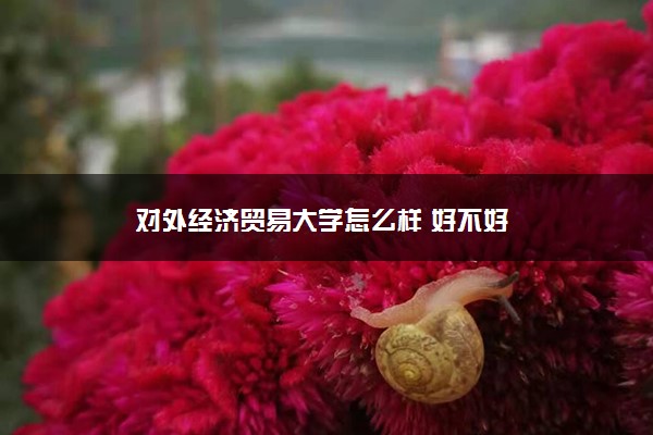 对外经济贸易大学怎么样 好不好