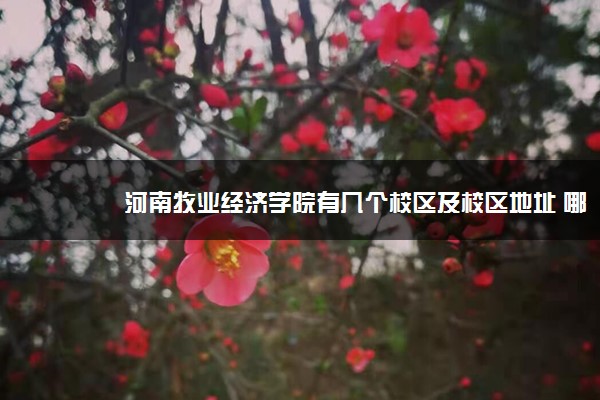 河南牧业经济学院有几个校区及校区地址 哪个校区最好