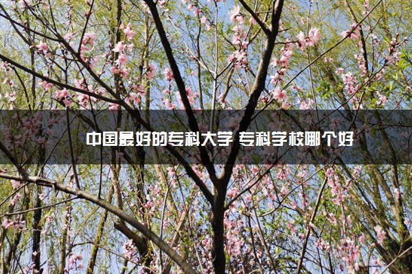 中国最好的专科大学 专科学校哪个好