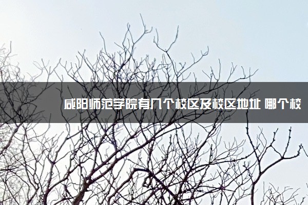 咸阳师范学院有几个校区及校区地址 哪个校区最好