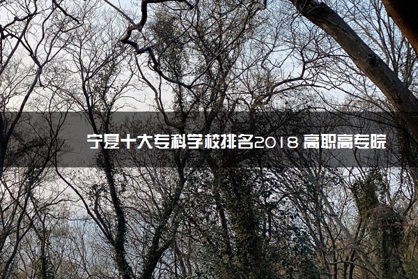 宁夏十大专科学校排名2018 高职高专院校排名前十