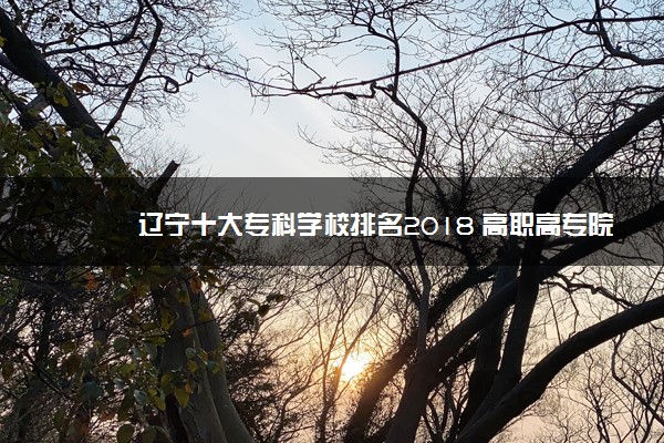 辽宁十大专科学校排名2018 高职高专院校排名前十