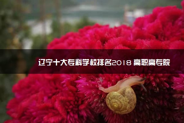 辽宁十大专科学校排名2018 高职高专院校排名前十