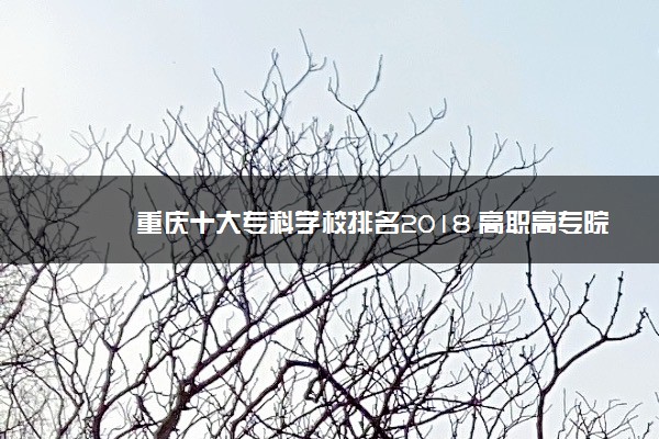 重庆十大专科学校排名2018 高职高专院校排名前十