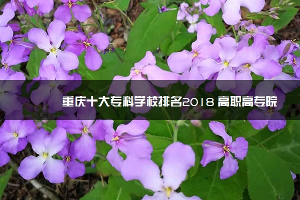 重庆十大专科学校排名2018 高职高专院校排名前十