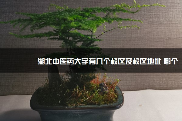 湖北中医药大学有几个校区及校区地址 哪个校区最好