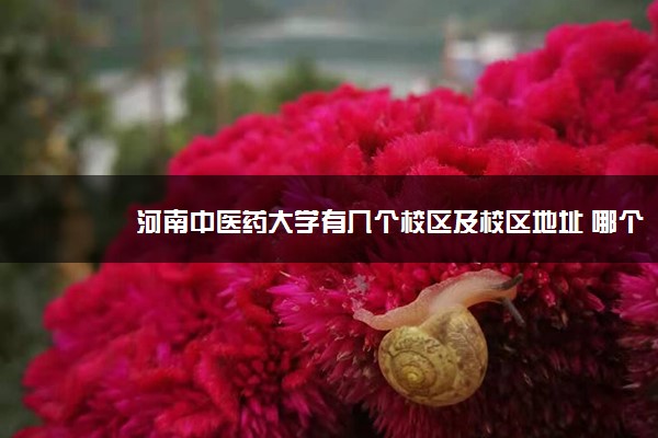 河南中医药大学有几个校区及校区地址 哪个校区最好