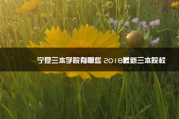 宁夏三本学院有哪些 2018最新三本院校名单