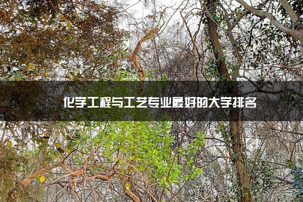 化学工程与工艺专业最好的大学排名