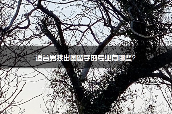 适合男孩出国留学的专业有哪些？