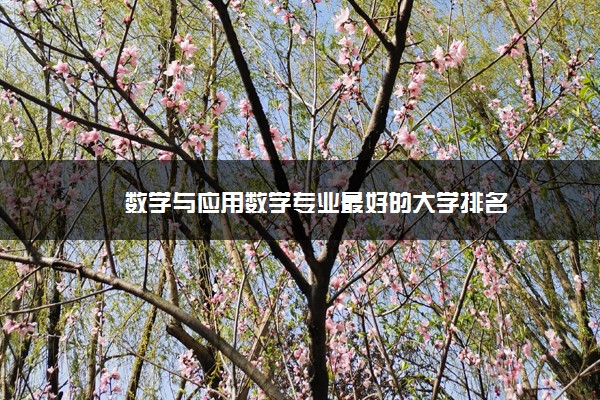 数学与应用数学专业最好的大学排名