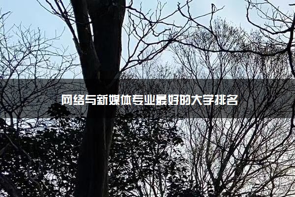 网络与新媒体专业最好的大学排名