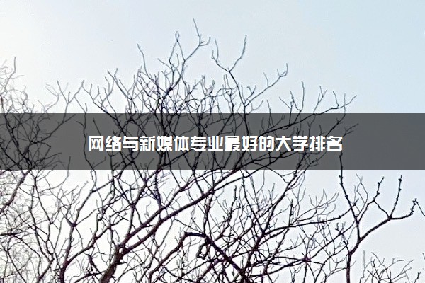 网络与新媒体专业最好的大学排名