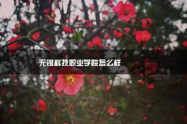 无锡科技职业学院怎么样