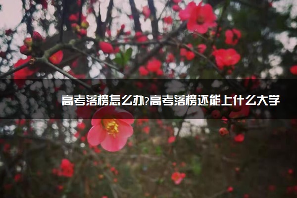 高考落榜怎么办?高考落榜还能上什么大学