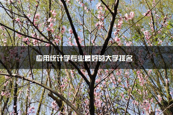 应用统计学专业最好的大学排名