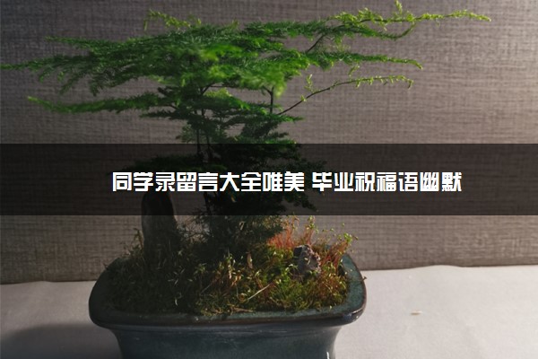 同学录留言大全唯美 毕业祝福语幽默