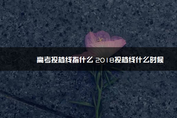 高考投档线指什么 2018投档线什么时候公布