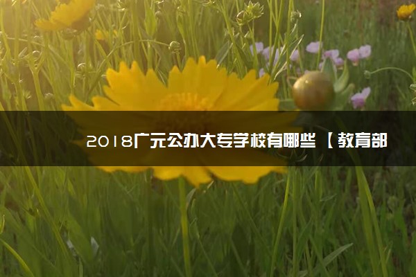 2018广元公办大专学校有哪些 【教育部专科院校名单】