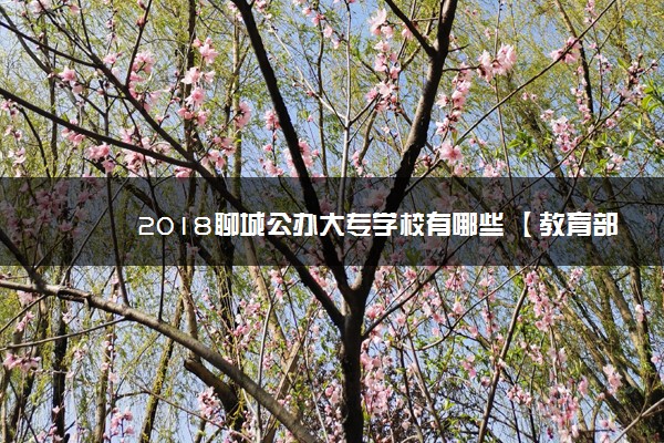 2018聊城公办大专学校有哪些 【教育部专科院校名单】