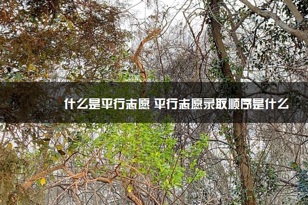 什么是平行志愿 平行志愿录取顺序是什么