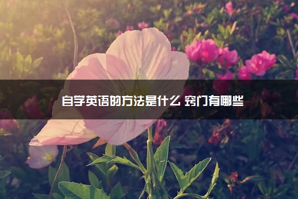 自学英语的方法是什么 窍门有哪些