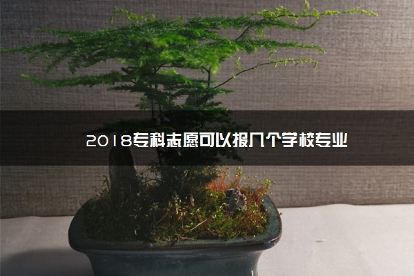 2018专科志愿可以报几个学校专业