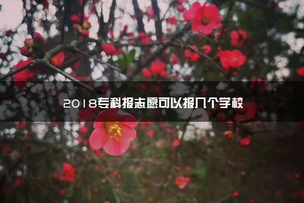 2018专科报志愿可以报几个学校