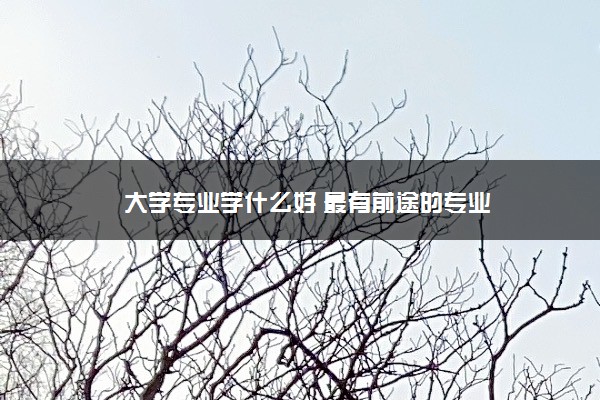 大学专业学什么好 最有前途的专业