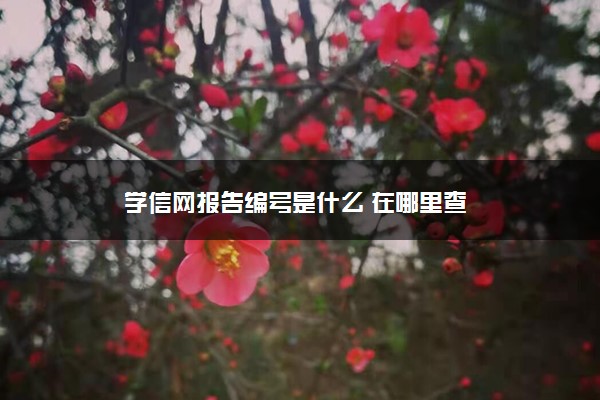 学信网报告编号是什么 在哪里查