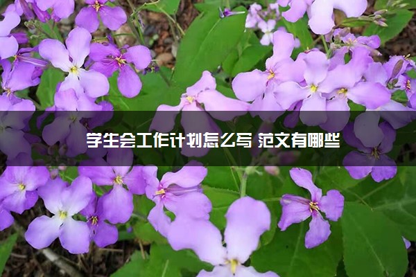 学生会工作计划怎么写 范文有哪些