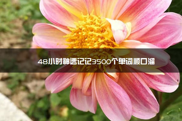 48小时神速记记3500个单词顺口溜