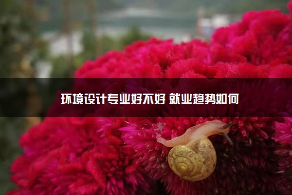 环境设计专业好不好 就业趋势如何