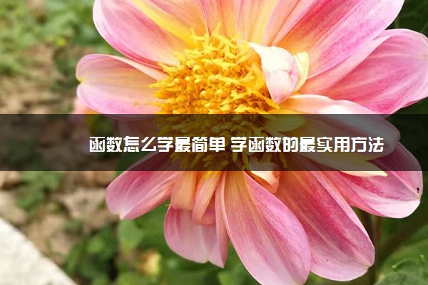 函数怎么学最简单 学函数的最实用方法