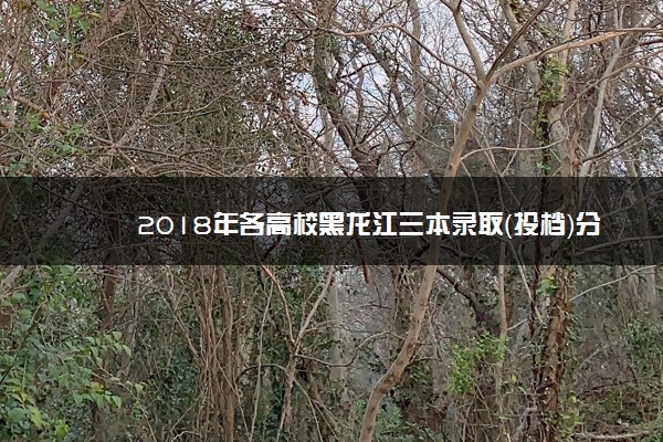 2018年各高校黑龙江三本录取（投档）分数线