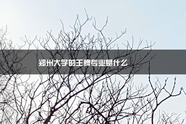 郑州大学的王牌专业是什么