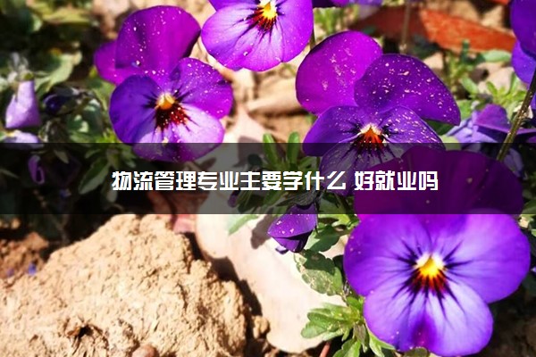 物流管理专业主要学什么 好就业吗