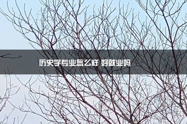 历史学专业怎么样 好就业吗