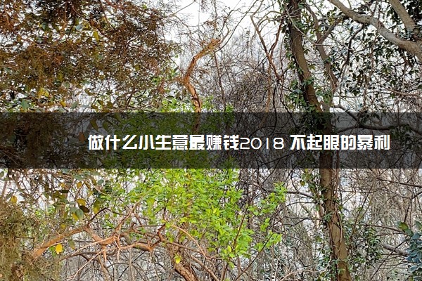 做什么小生意最赚钱2018 不起眼的暴利小生意