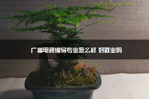 广播电视编导专业怎么样 好就业吗