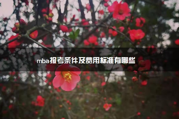 mba报考条件及费用标准有哪些