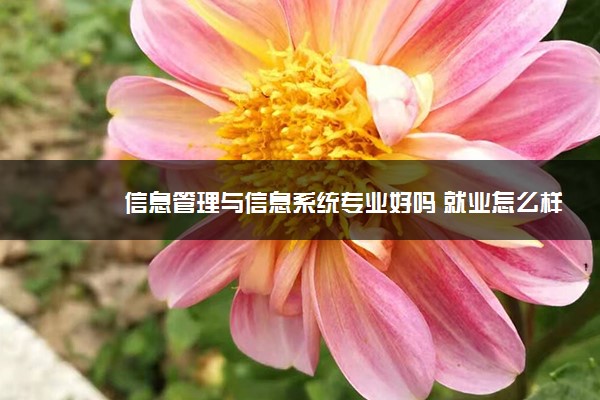 信息管理与信息系统专业好吗 就业怎么样