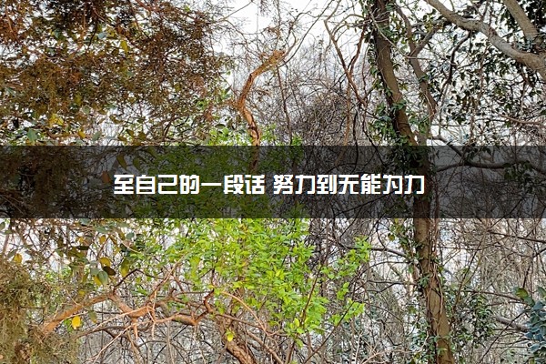 至自己的一段话 努力到无能为力