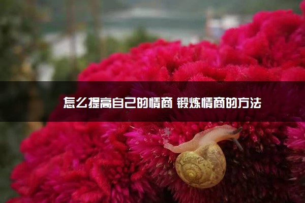 怎么提高自己的情商 锻炼情商的方法