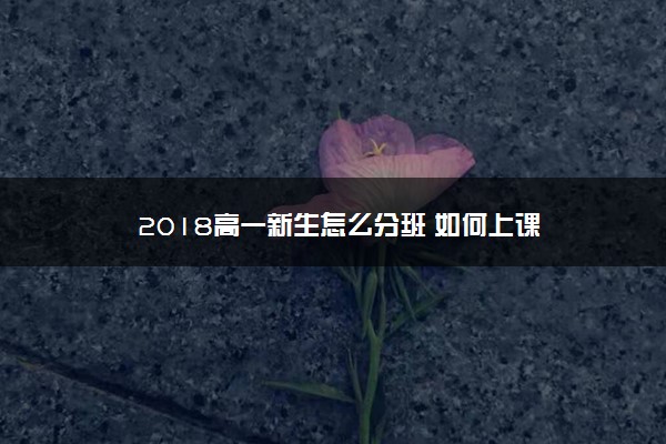 2018高一新生怎么分班 如何上课