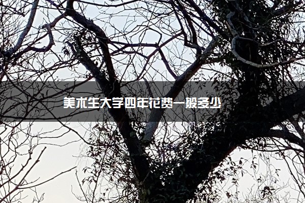 美术生大学四年花费一般多少