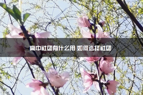 高中社团有什么用 如何选择社团